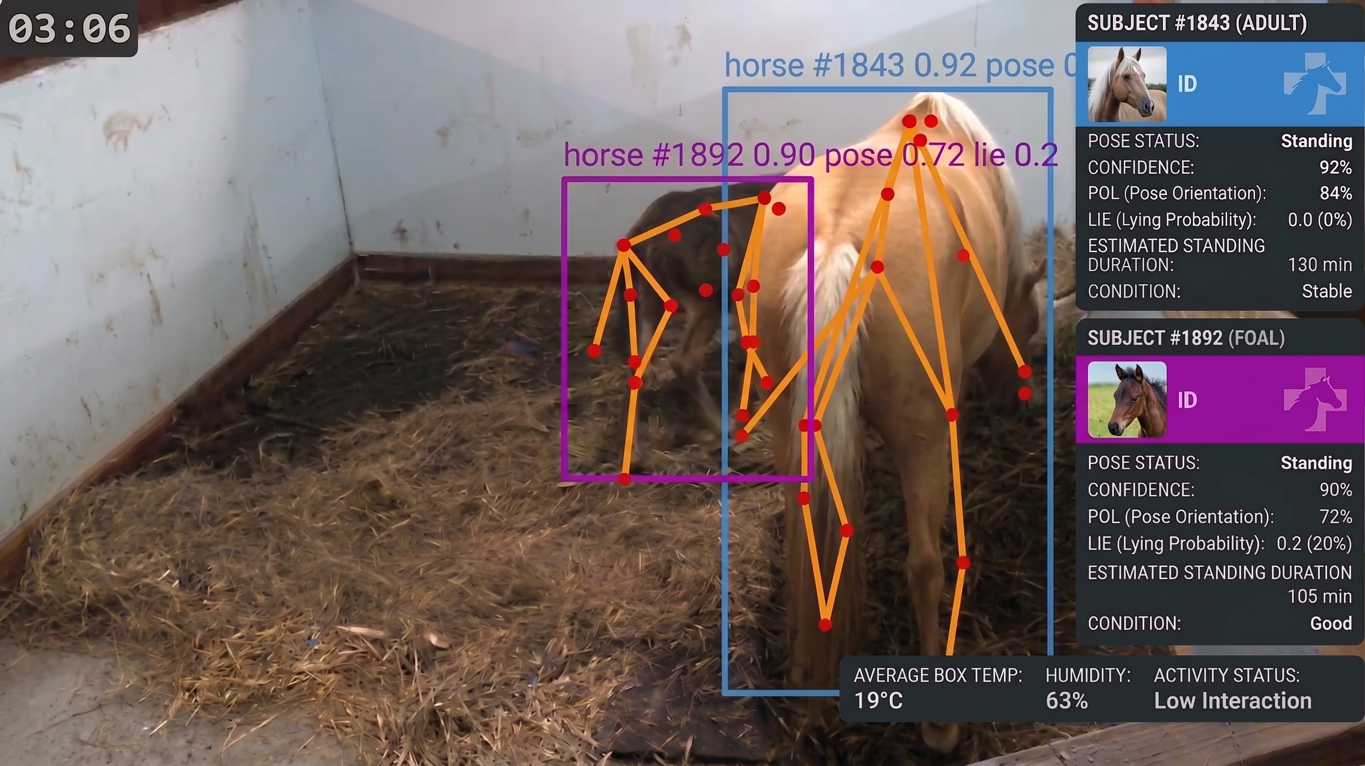 Observer Agent detection view showing two horses with pose confidence, orientation, and lying-probability readouts, plus stall temperature, humidity, and activity status