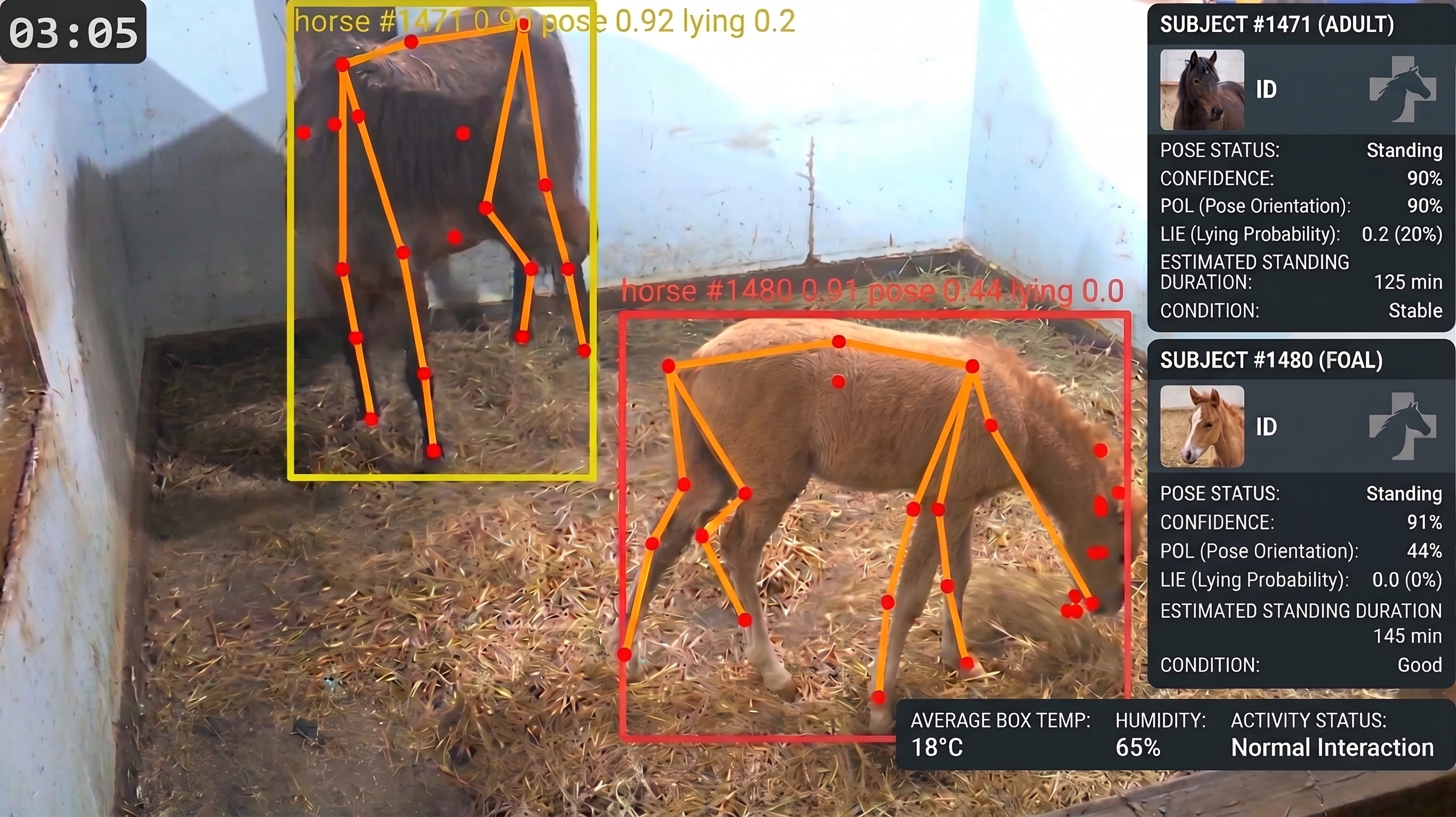 Observer Agent live detection view: mare and foal in a stall, each with a pose skeleton, bounding box, and a metrics panel showing pose status, confidence, orientation, lying probability, and estimated standing duration